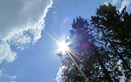 Trees, clouds and the sun